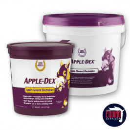 electrolitos apple dex sabor manzana