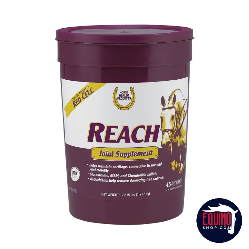 REACH JOINT PELLETS