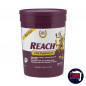 REACH JOINT PELLETS