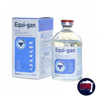 Equi Gan