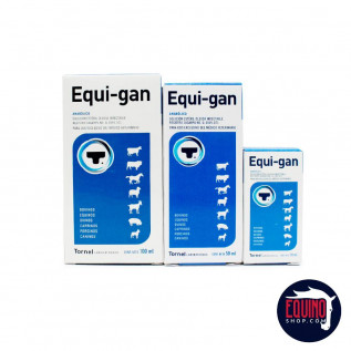 Equi Gan