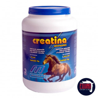 creatina en polvo microsules 1 kilo