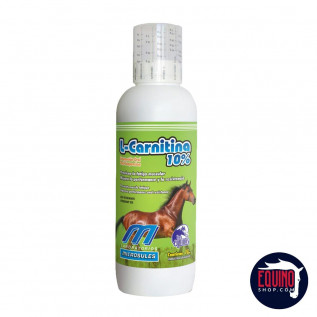 L Carnitina 10% Jarabe