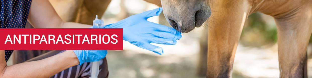 Antiparasitarios para Caballo