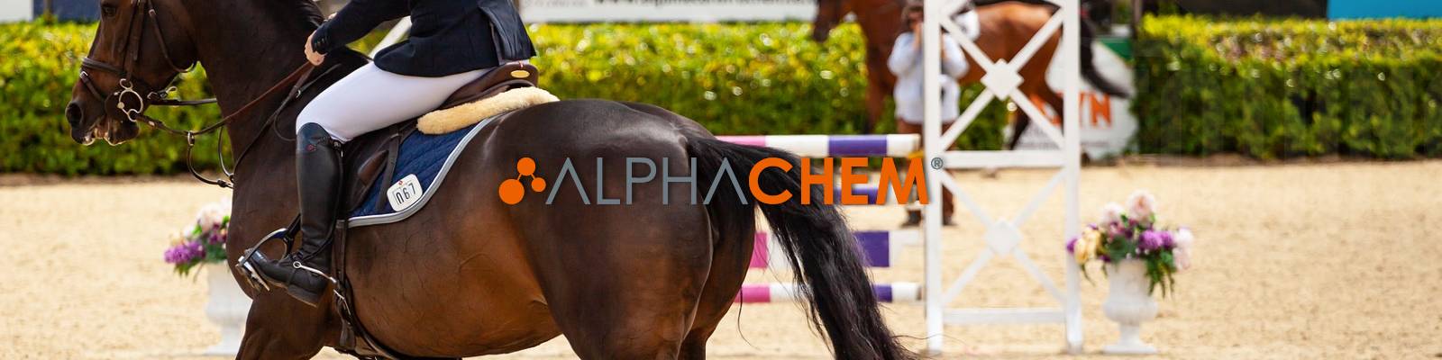 laboratorio alphachem medicamentos para caballos