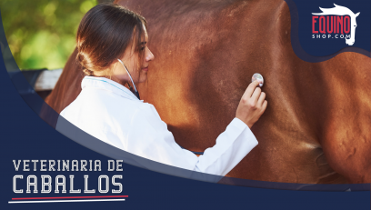 Los servicios más comunes ofrecidos por una veterinaria de caballos